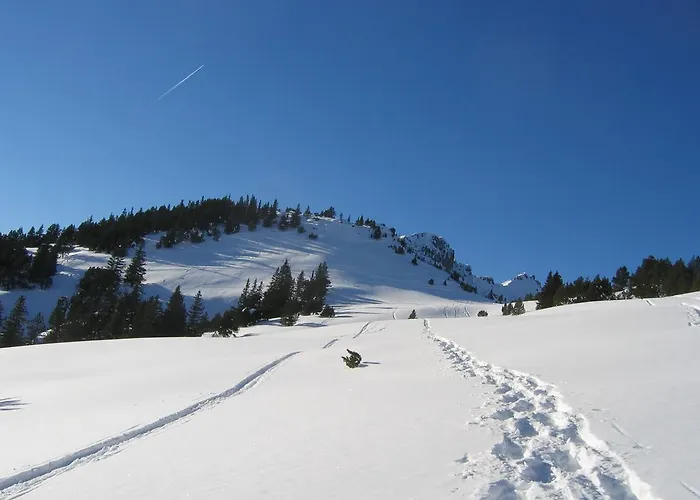 Homestay Am Bueel Sevelen