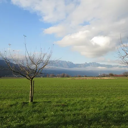 Am Bueel בית אירוח Sevelen