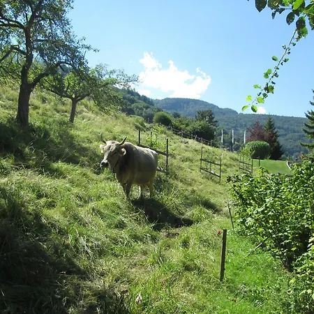 Privat bolig Am Bueel Sevelen