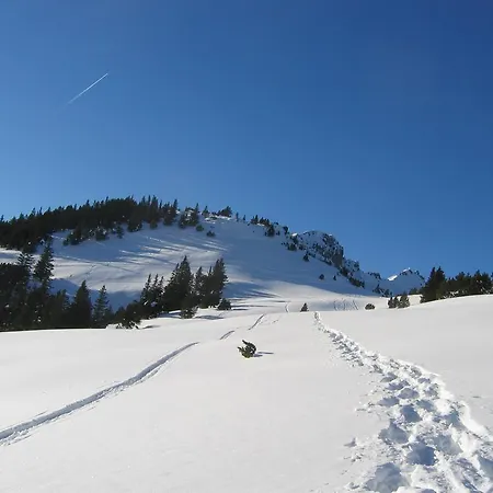 Privat bolig Am Bueel Sevelen